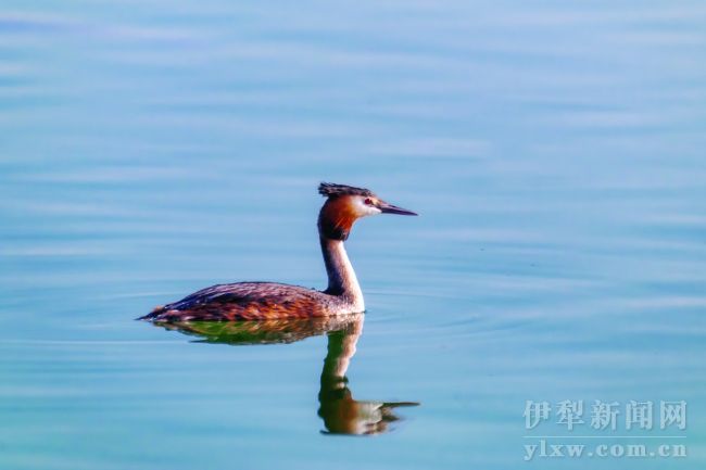 920313_liuyh_1616925273608
