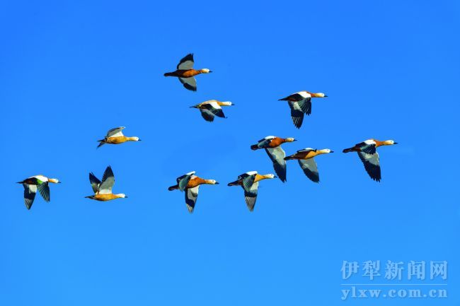 920306_liuyh_1616925096224